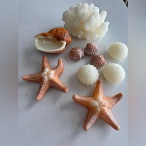 Pottery Barn Decorative Coral and Shell Candles